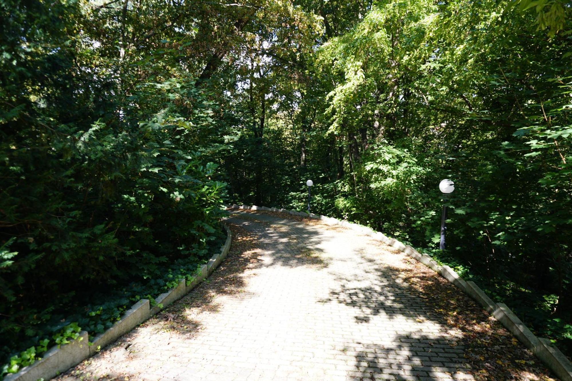 Villa Via Lapis - Panoramablick Ueber Dresden - Garten - Pool - Sauna - Luxus Luaran gambar